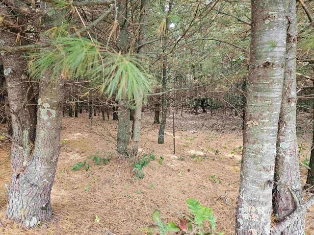 $594,900 | N459 County Rd U, Weyauwega, WI 54983