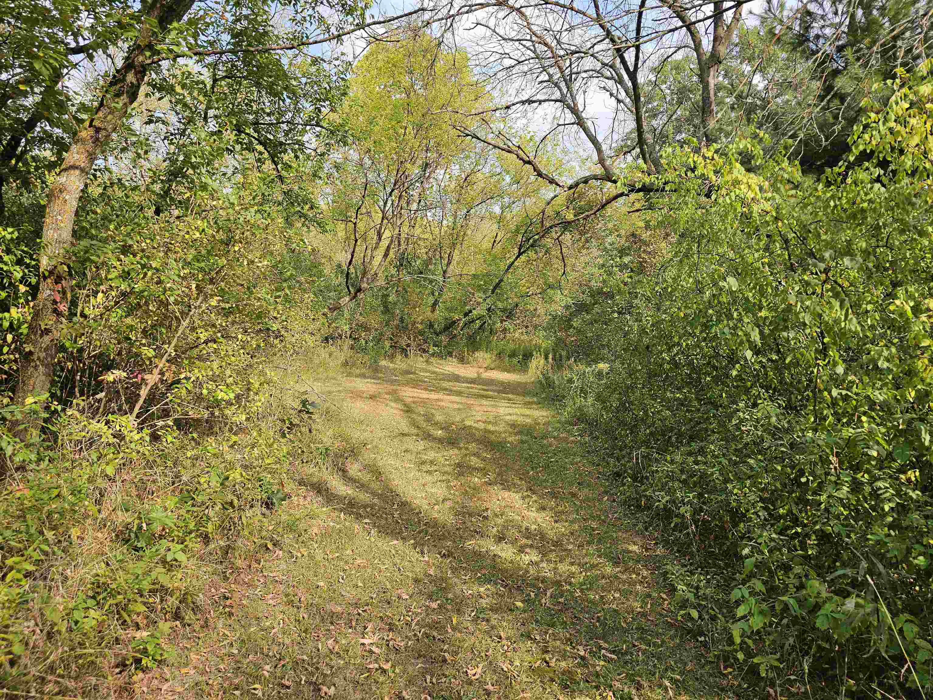 N459 County Rd U Weyauwega, WI 54983 - Photo 56 of 60