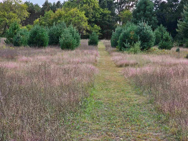 $594,900 | N459 County Rd U, Weyauwega, WI 54983