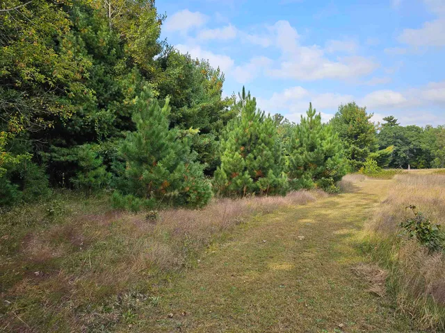 $594,900 | N459 County Rd U, Weyauwega, WI 54983