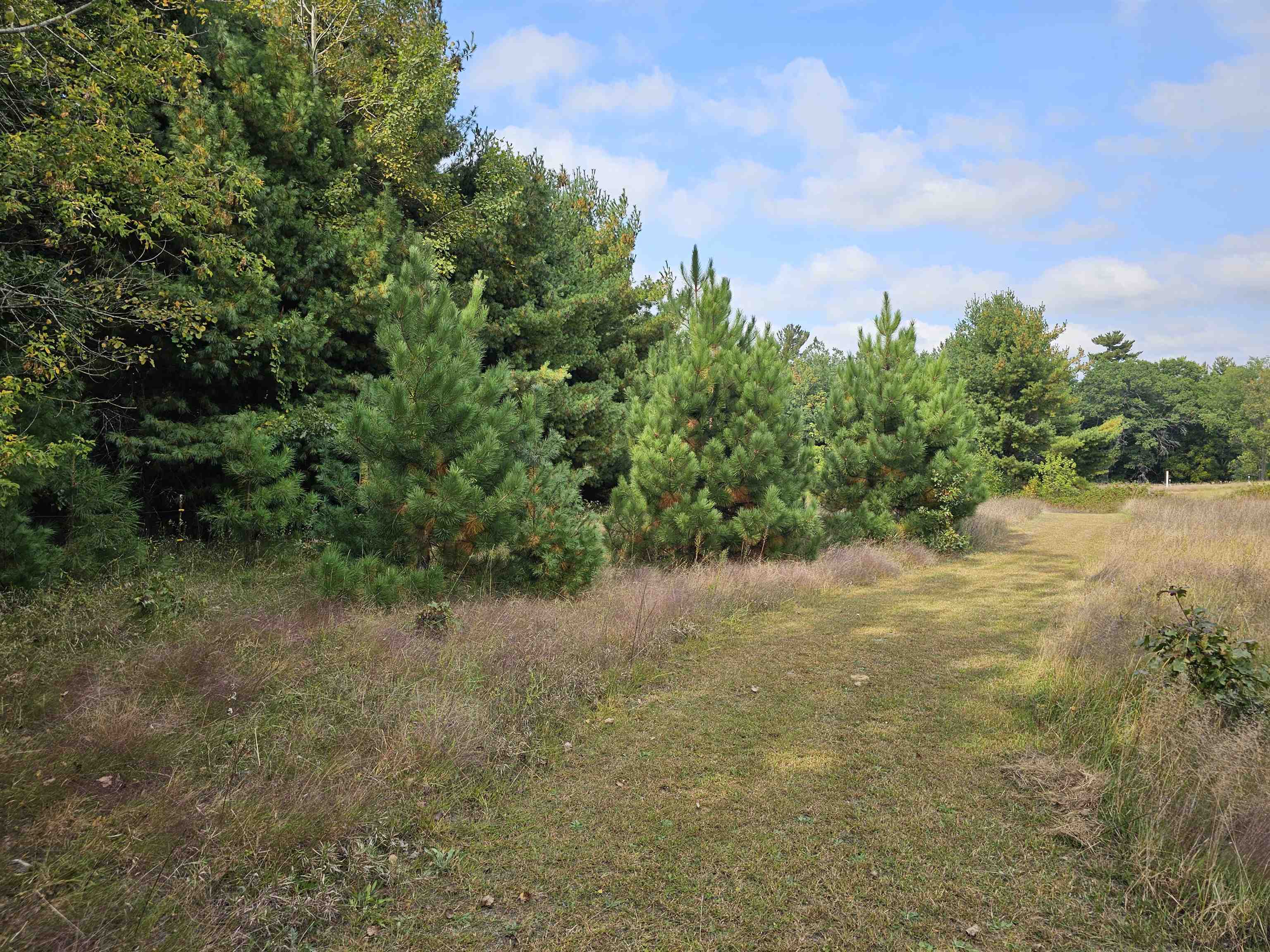N459 County Rd U Weyauwega, WI 54983 - Photo 59 of 60