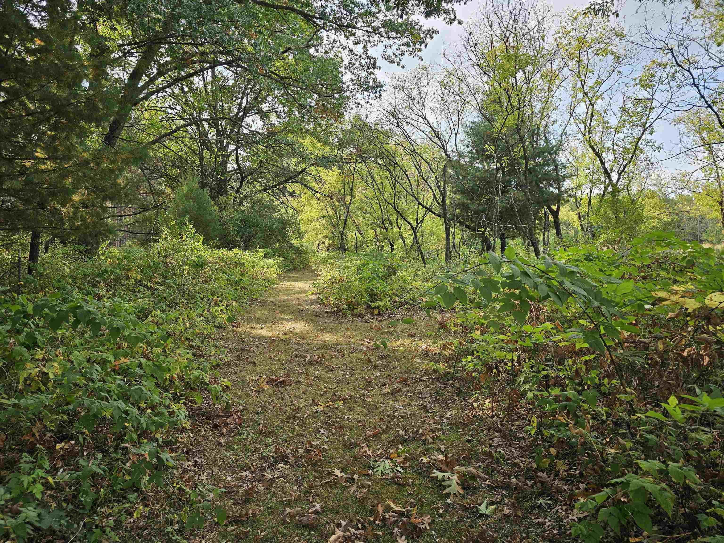 N459 County Rd U Weyauwega, WI 54983 - Photo 60 of 60