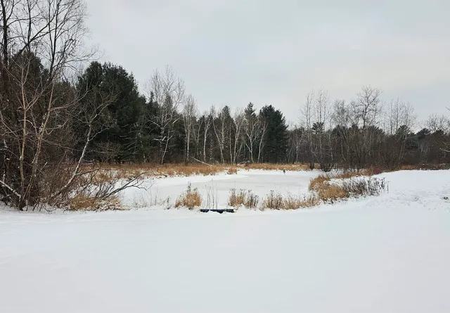 $594,900 | N459 County Rd U, Weyauwega, WI 54983
