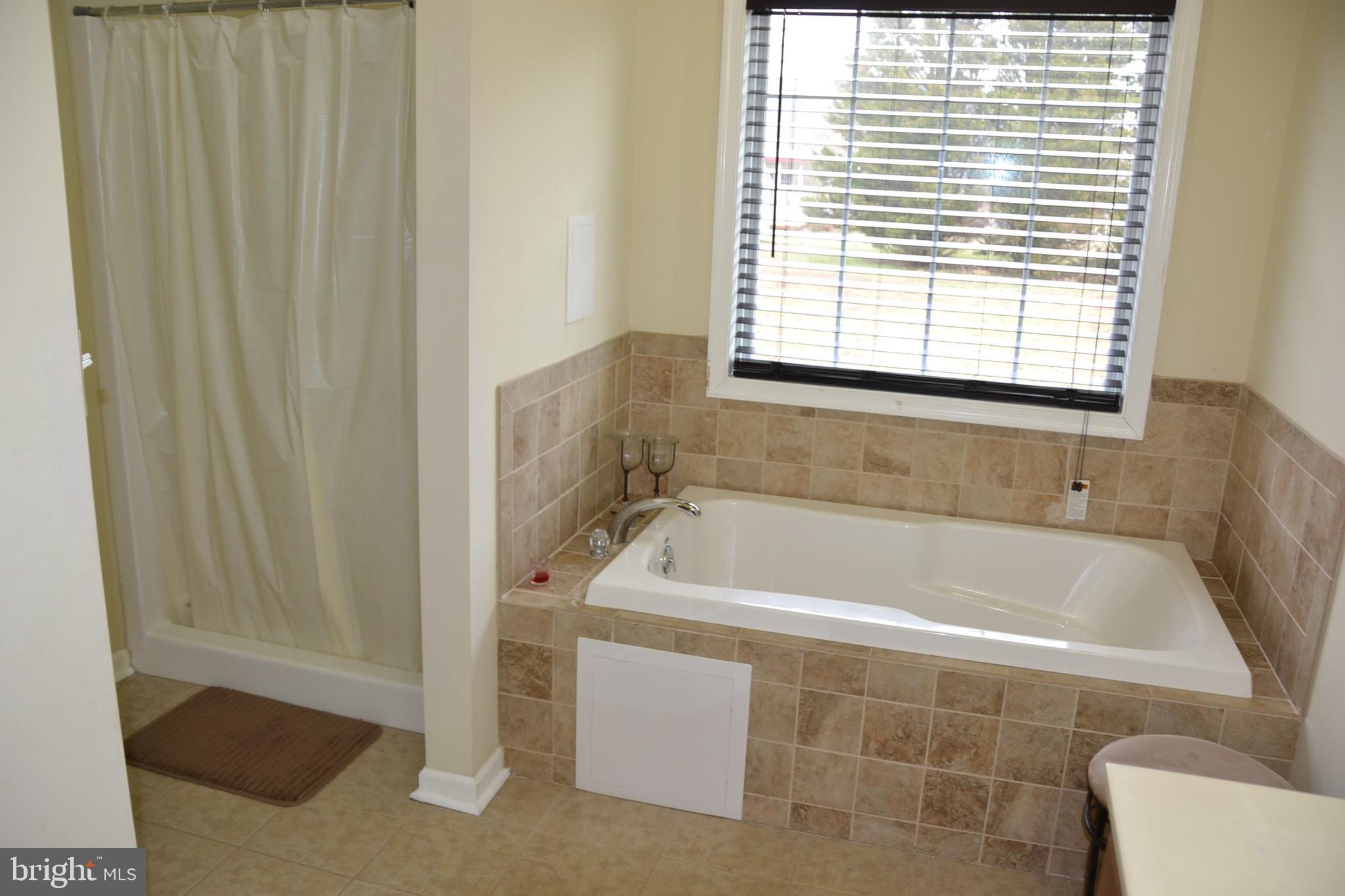 2034 Groton Road Pocomoke City, MD 21851 - Photo 21 of 45 Soaking tub and Shower