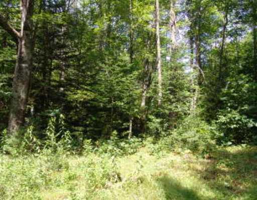 Lot 2 Smithville Road Steuben, ME 04680 - Photo 1 of 1 Land/Lot.