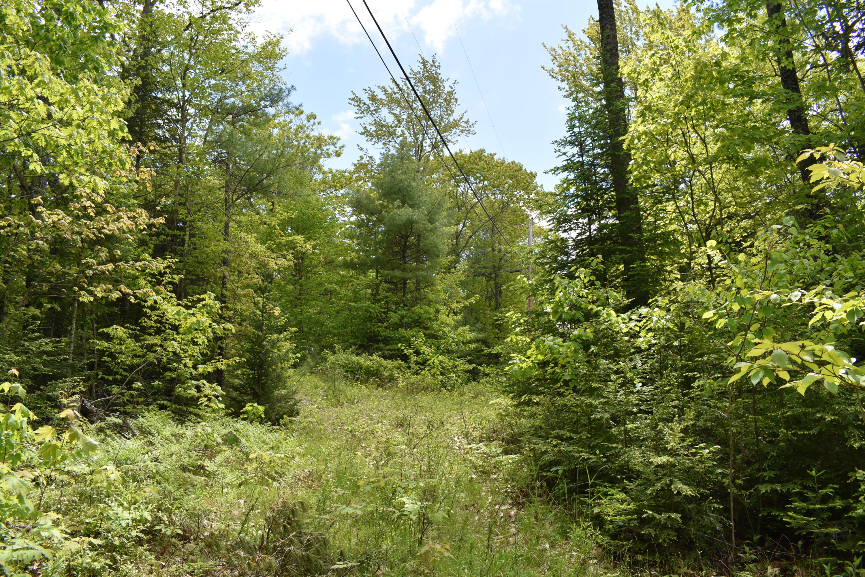0 Golden Ridge Road Alna, ME 04535 - Photo 5 of 12 DSC_2269