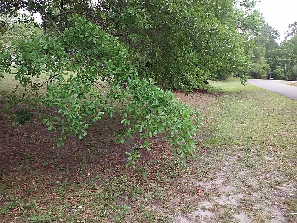 Lot Cardinal Cardinal Road Yulee, FL 32097 - Photo 6 of 13 Gallery Image 6