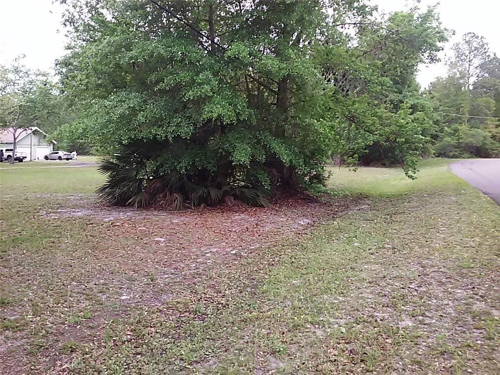 Lot Cardinal Cardinal Road Yulee, FL 32097 - Photo 8 of 13 Gallery Image 8