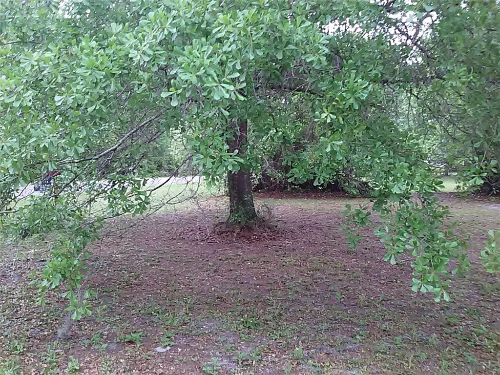 Lot Cardinal Cardinal Road Yulee, FL 32097 - Photo 9 of 13 Gallery Image 9
