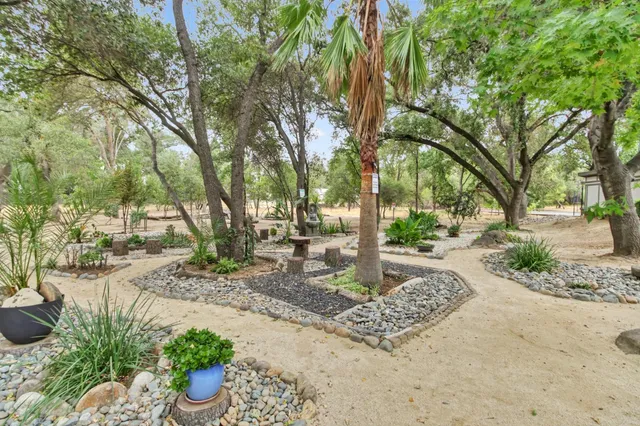 a view of a garden with a fountain