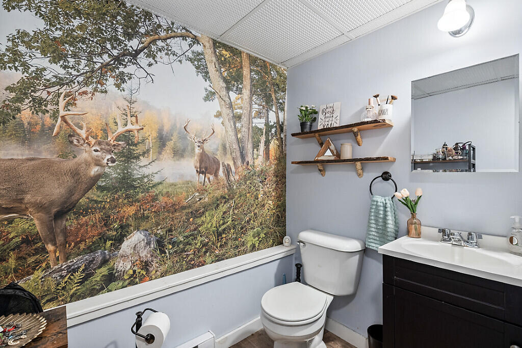 277 Wooster Hill Road Rome, ME 04963 - Photo 37 of 49 Lower level bath