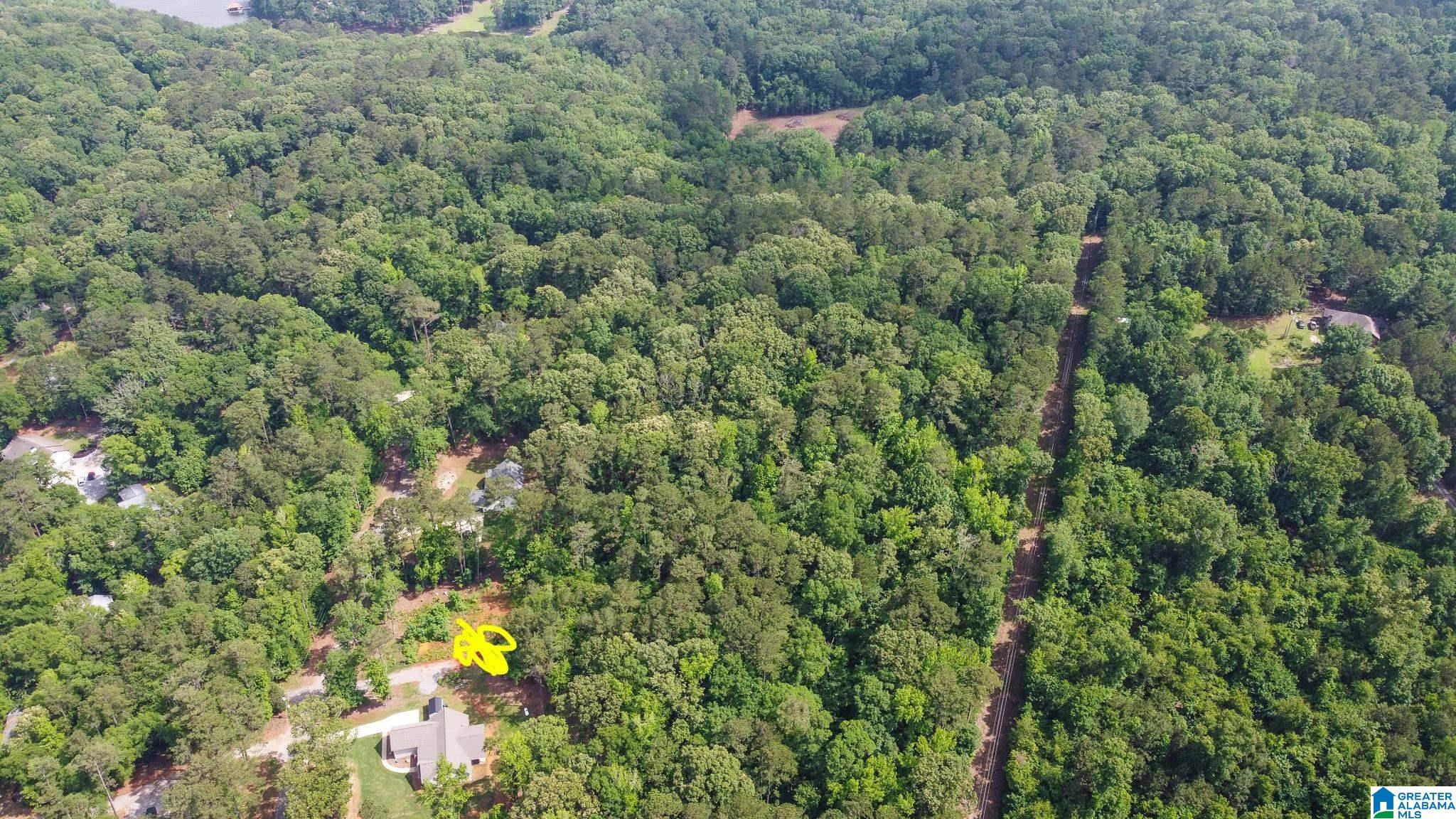 250 Black Acres Road, Unit 7 Cropwell, AL 35054 - Photo 2 of 5