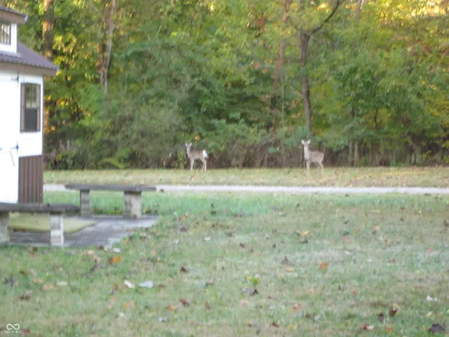 $525,000 | 6991 North Baltimore Road, Monrovia, IN 46157