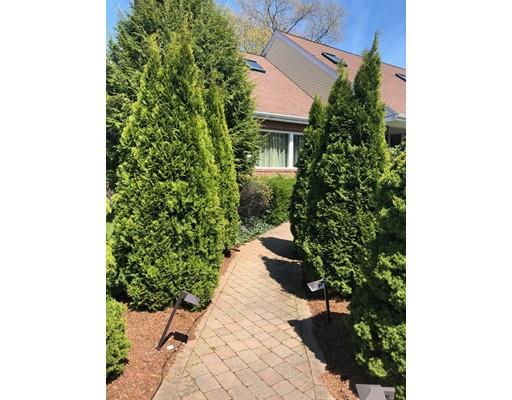 6 Tirrell Crescent Newton, MA 02467 - Photo 2 of 14 Gallery Image 2