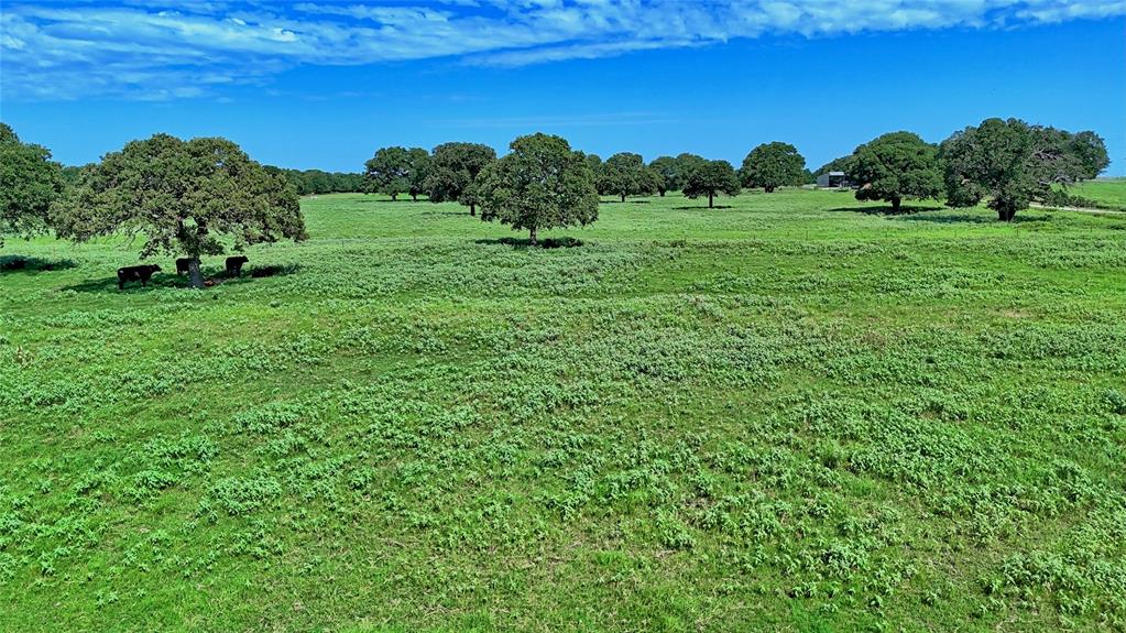 8752 Fm 1749 Sunset, TX 76270 - Photo 6 of 40