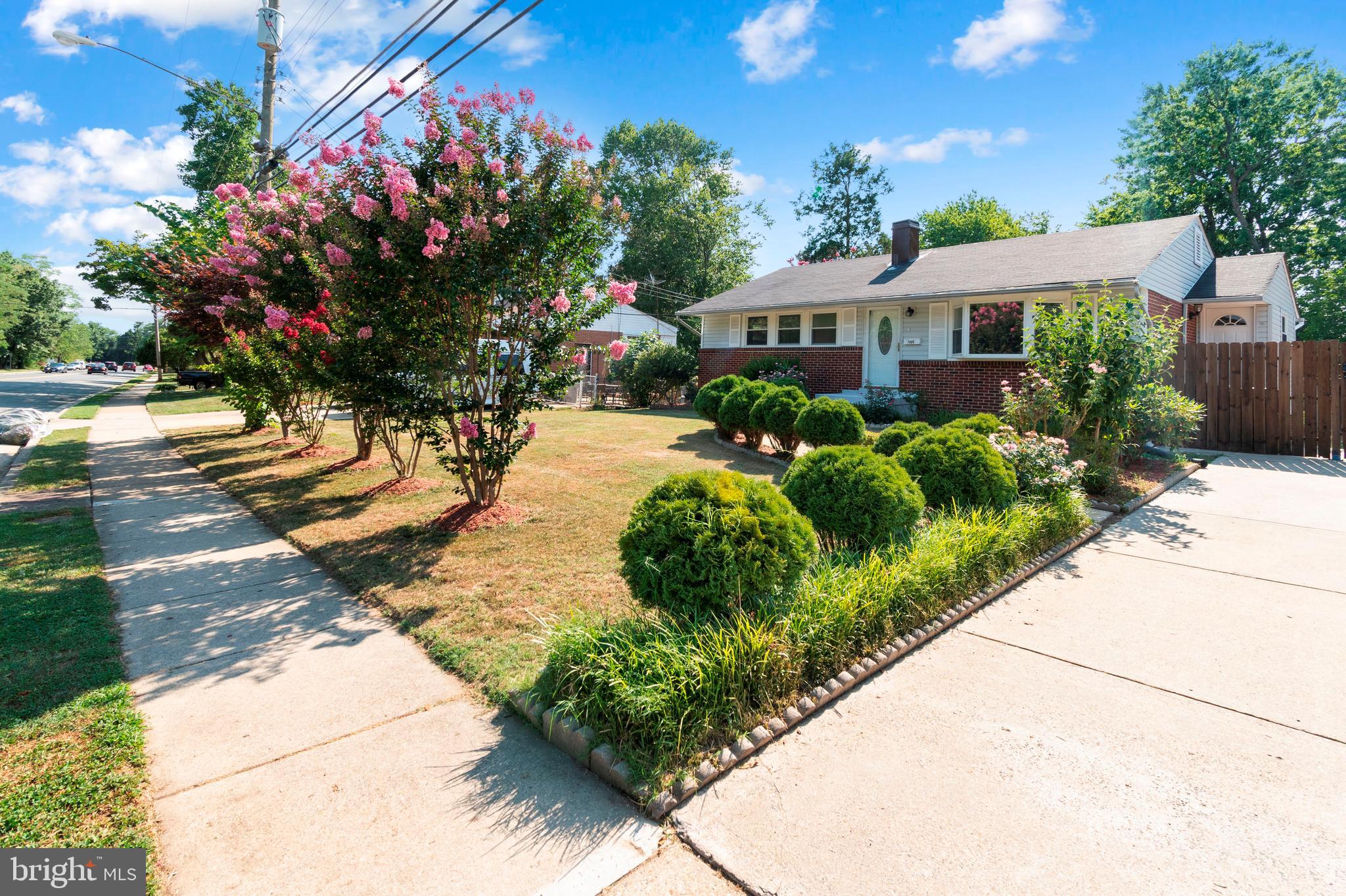 7404 Fordson Road Alexandria, VA 22306 - Photo 1 of 41 Gallery Image 1
