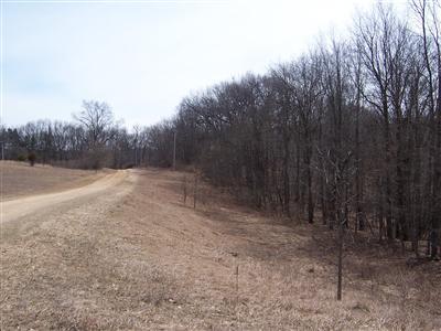 9501 Wertman Road Delton, MI 49046 - Photo 1 of 4 Primary Photo