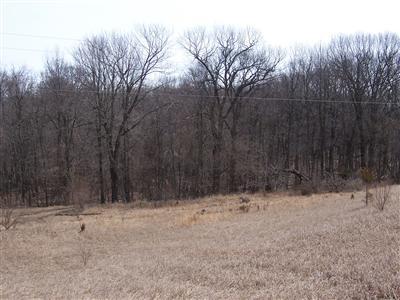 9501 Wertman Road Delton, MI 49046 - Photo 3 of 4 Additional Photo