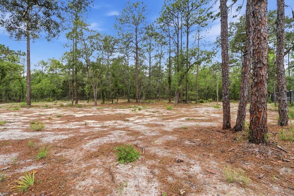16125 Magpie Road Weeki Wachee, FL 34614 - Photo 40 of 50