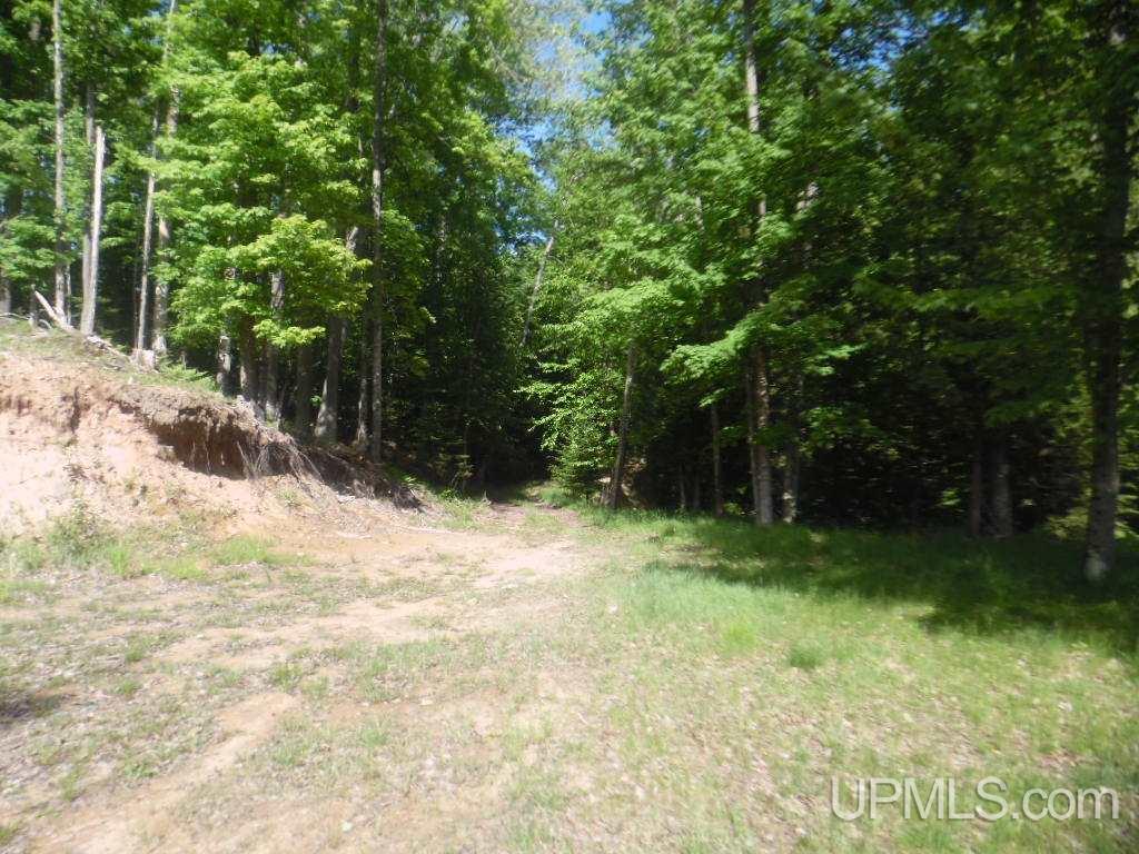 Tbd North Tbd N 75th Road, Unit 6 Gladstone, MI 49837 - Photo 11 of 13