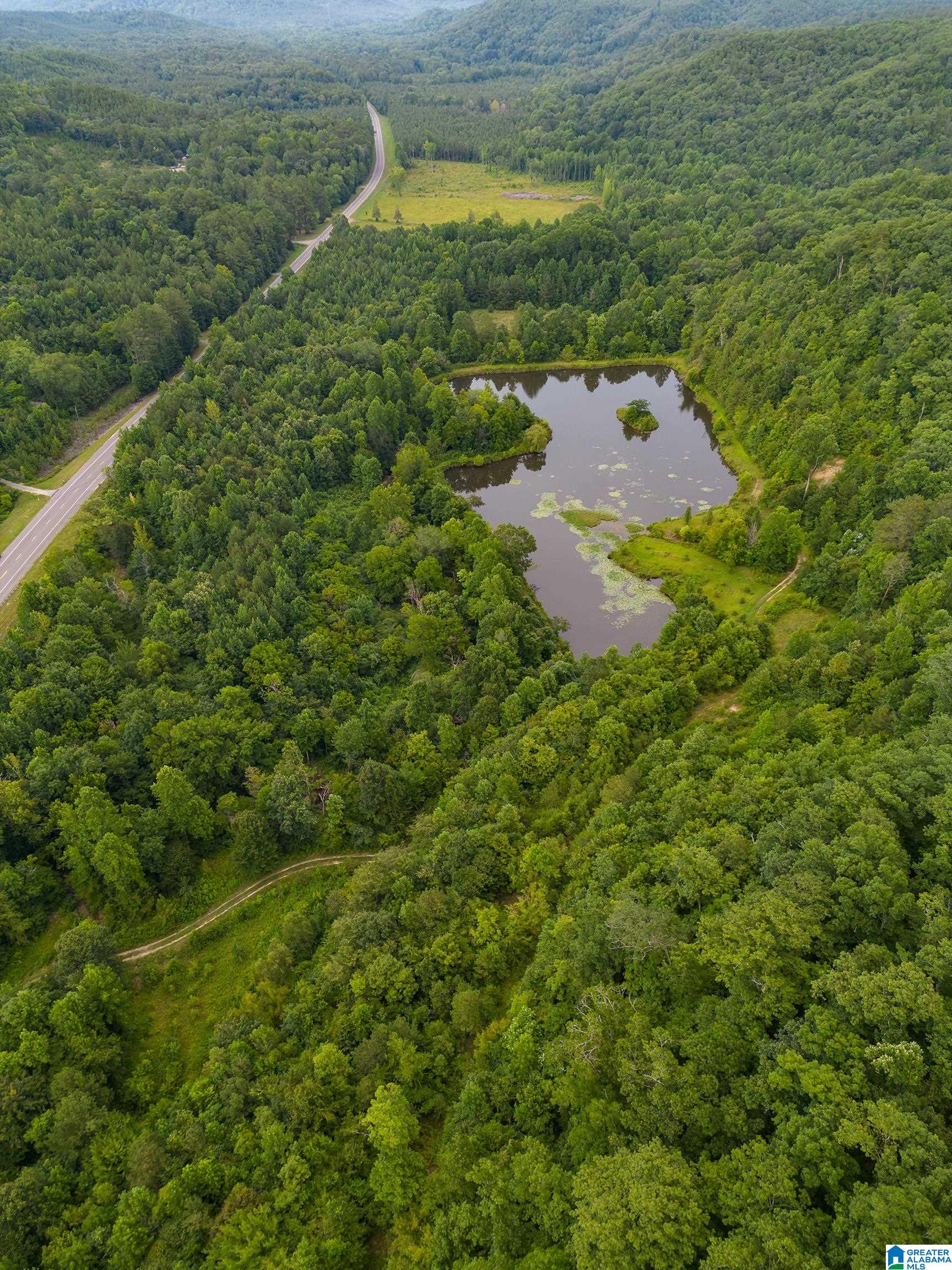 81 Frozen Hollow Road, Unit 32 Carbon Hill, AL 35549 - Photo 28 of 42