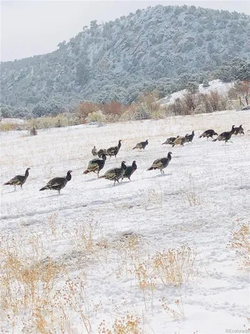 a bathroom with a sink and mirror with toilet