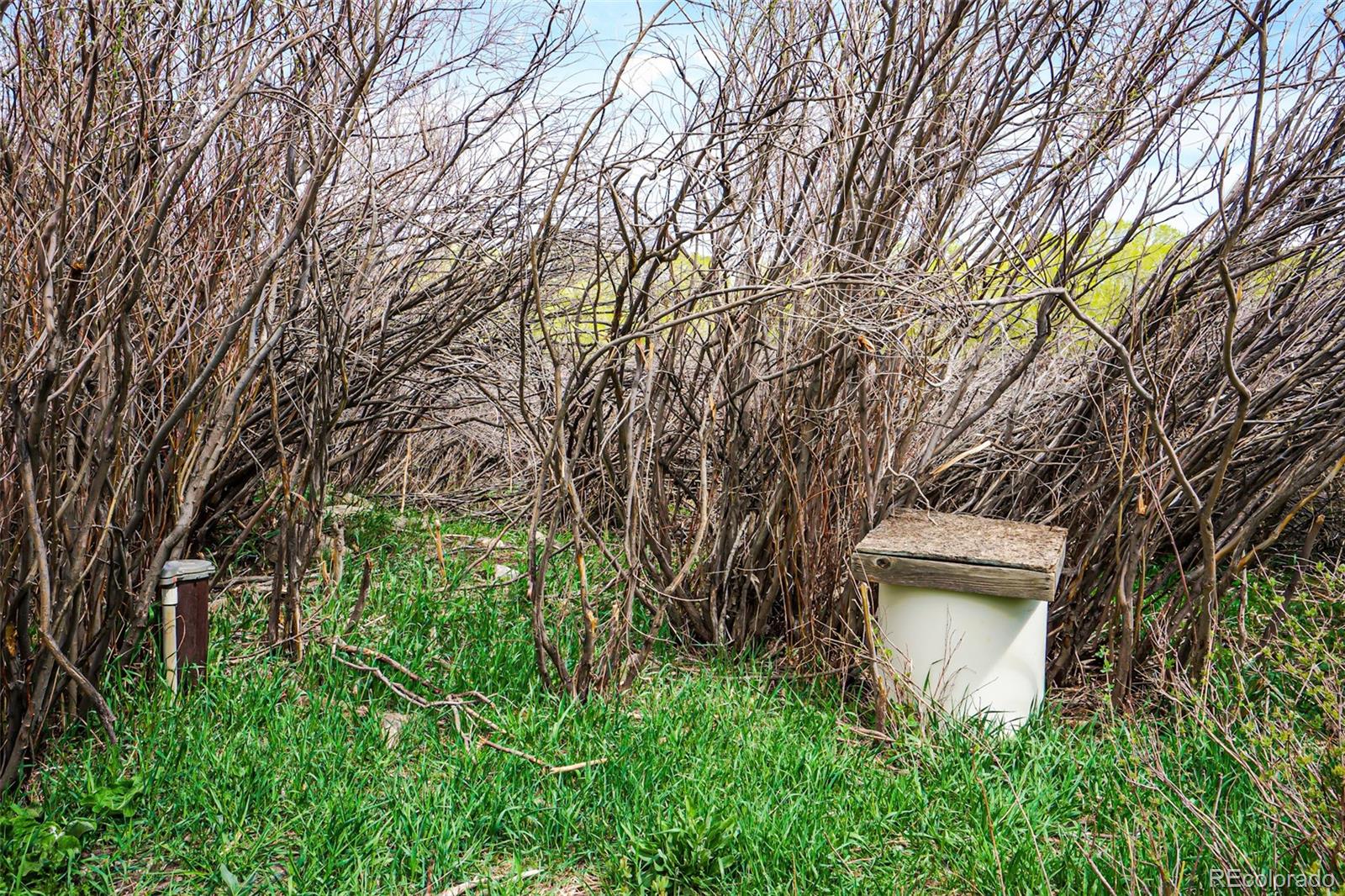 640 P County Road 571 Gardner, CO 81040 - Photo 12 of 47 a view of a backyard