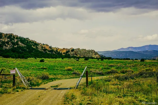 a view of a dry yard with wooden fence