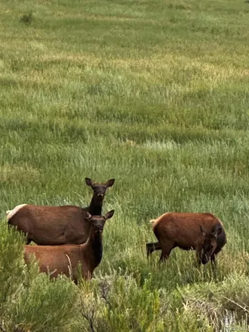 $849,000 | 640 P County Road 571, Gardner, CO 81040