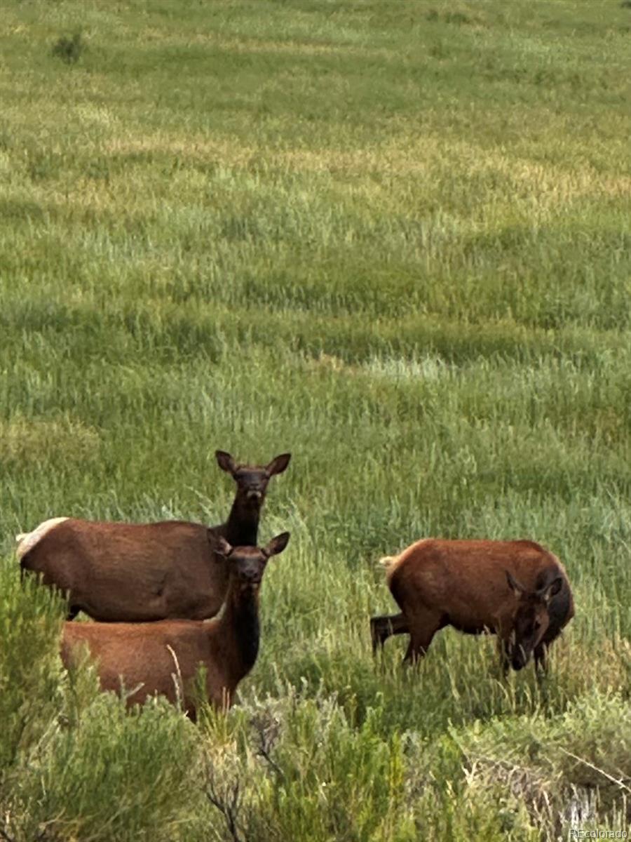 640 P County Road 571 Gardner, CO 81040 - Photo 40 of 47