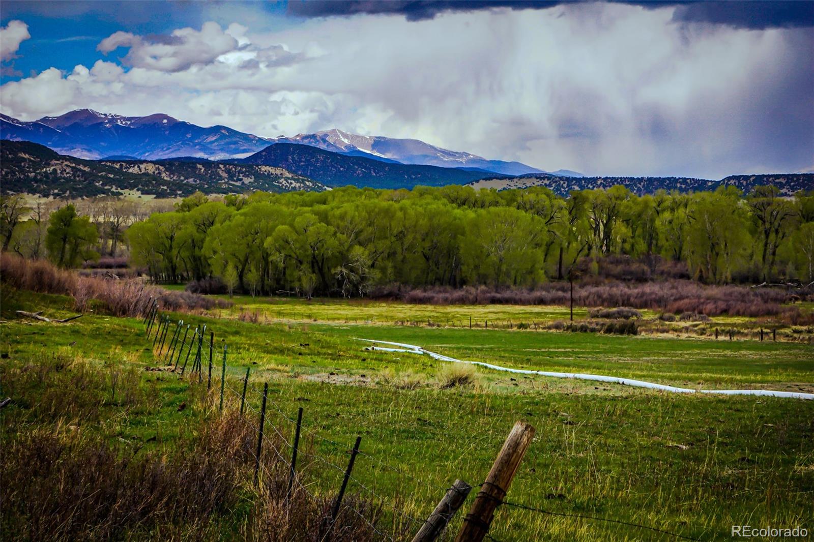 640 P County Road 571 Gardner, CO 81040 - Photo 4 of 47
