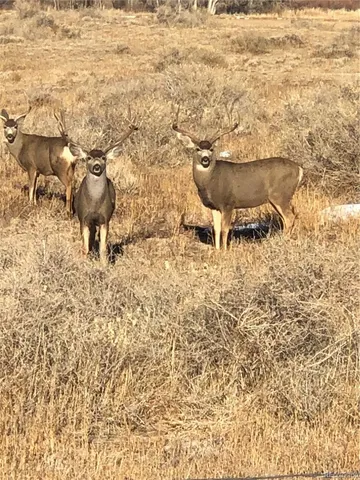 $849,000 | 640 P County Road 571, Gardner, CO 81040