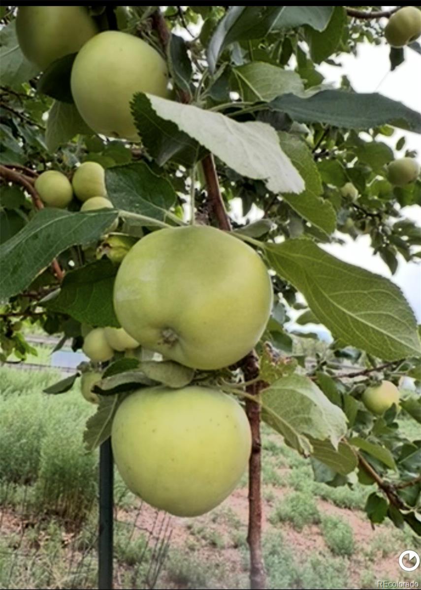 640 P County Road 571 Gardner, CO 81040 - Photo 43 of 47 a bathroom with a sink mirror and toilet