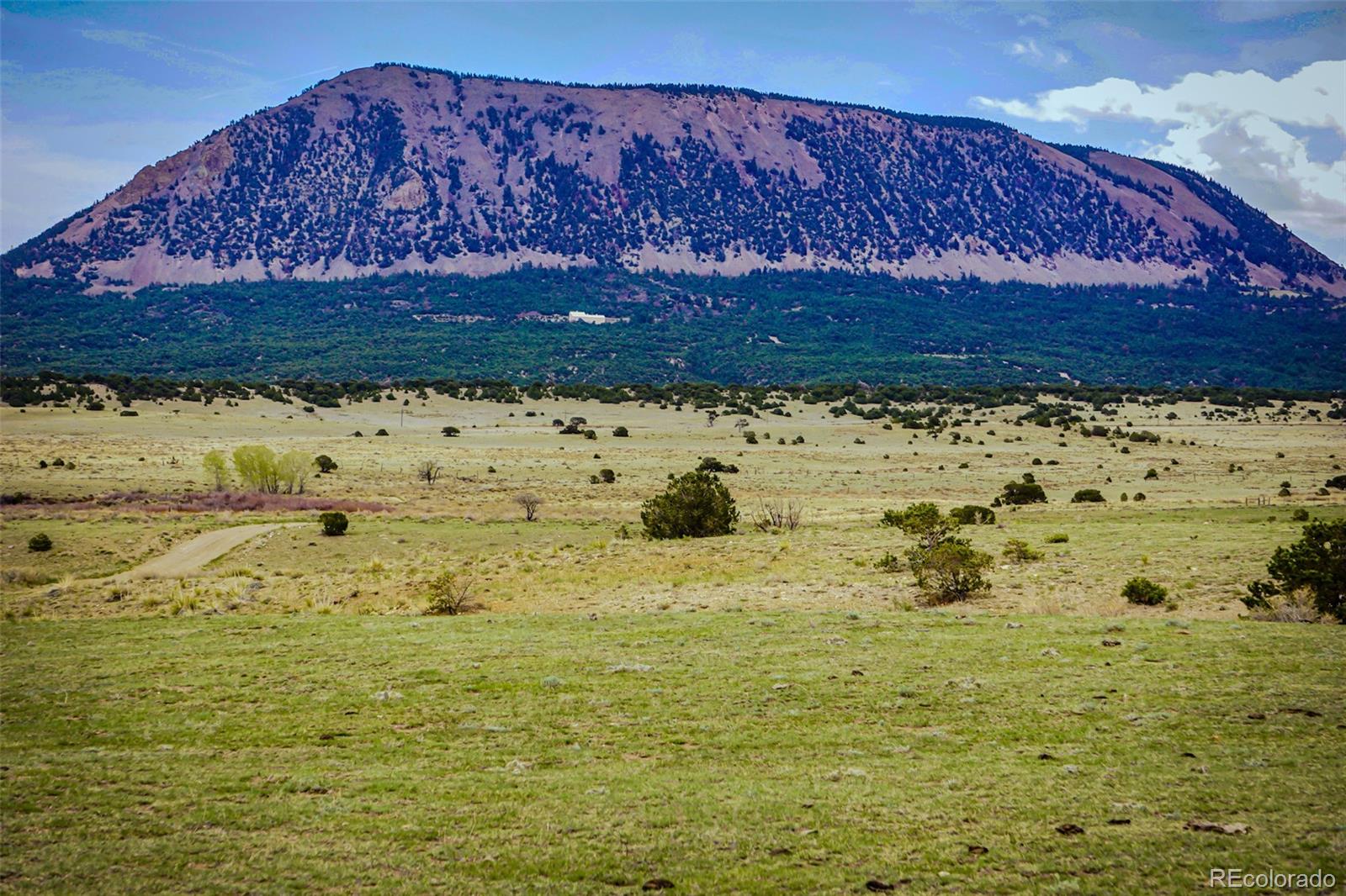 640 P County Road 571 Gardner, CO 81040 - Photo 5 of 47