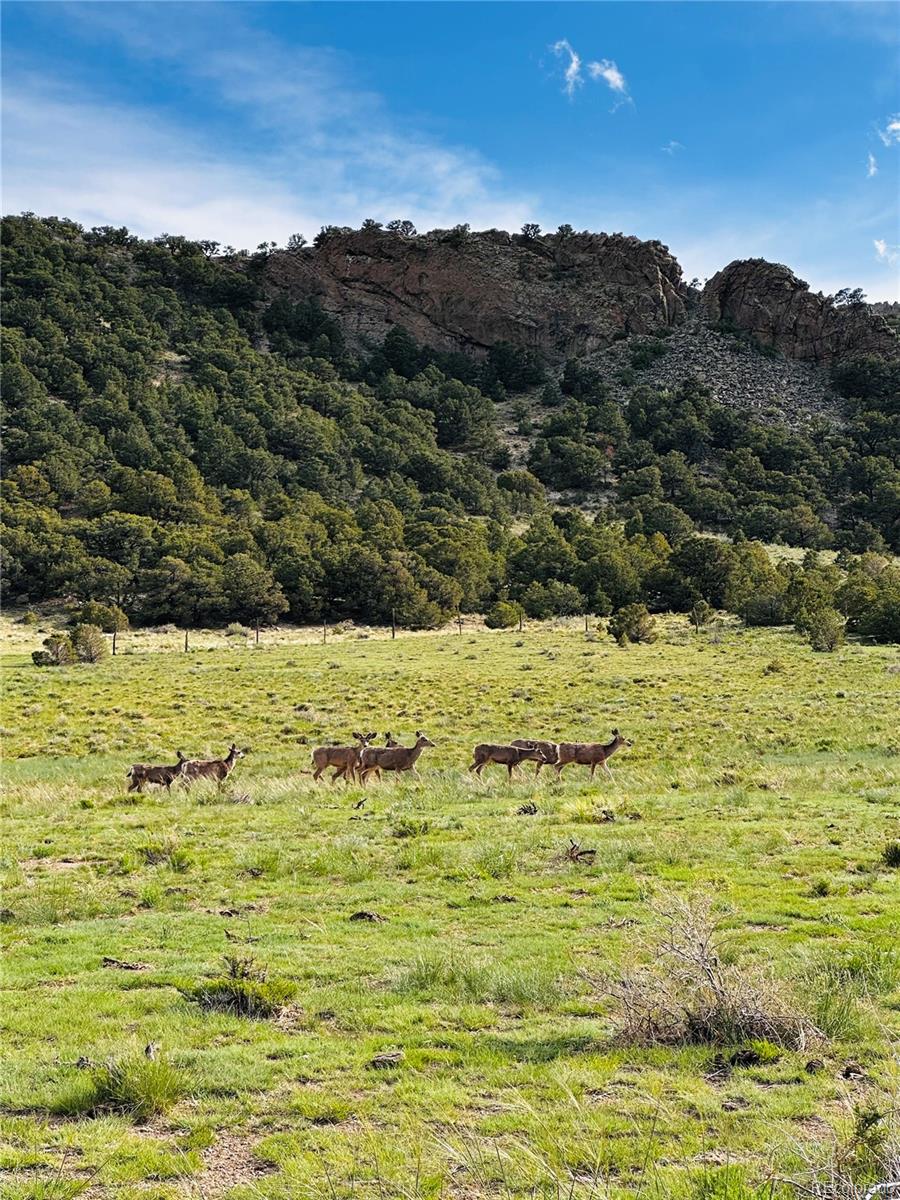 640 P County Road 571 Gardner, CO 81040 - Photo 10 of 47