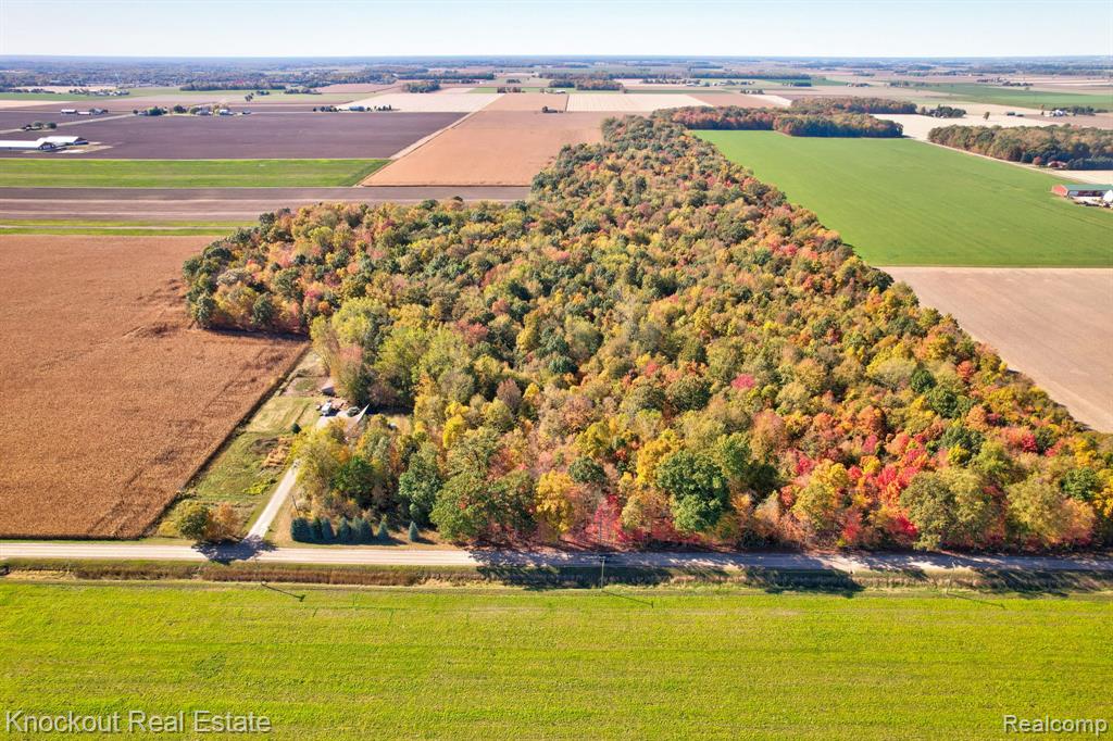 4000 South Reese Road Frankenmuth, MI 48734 - Photo 3 of 18