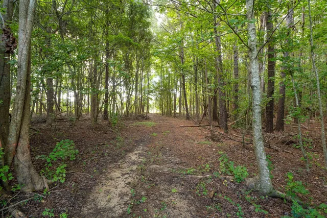 $599,750 | 6412 China Back Lane, Hollywood, SC 29449