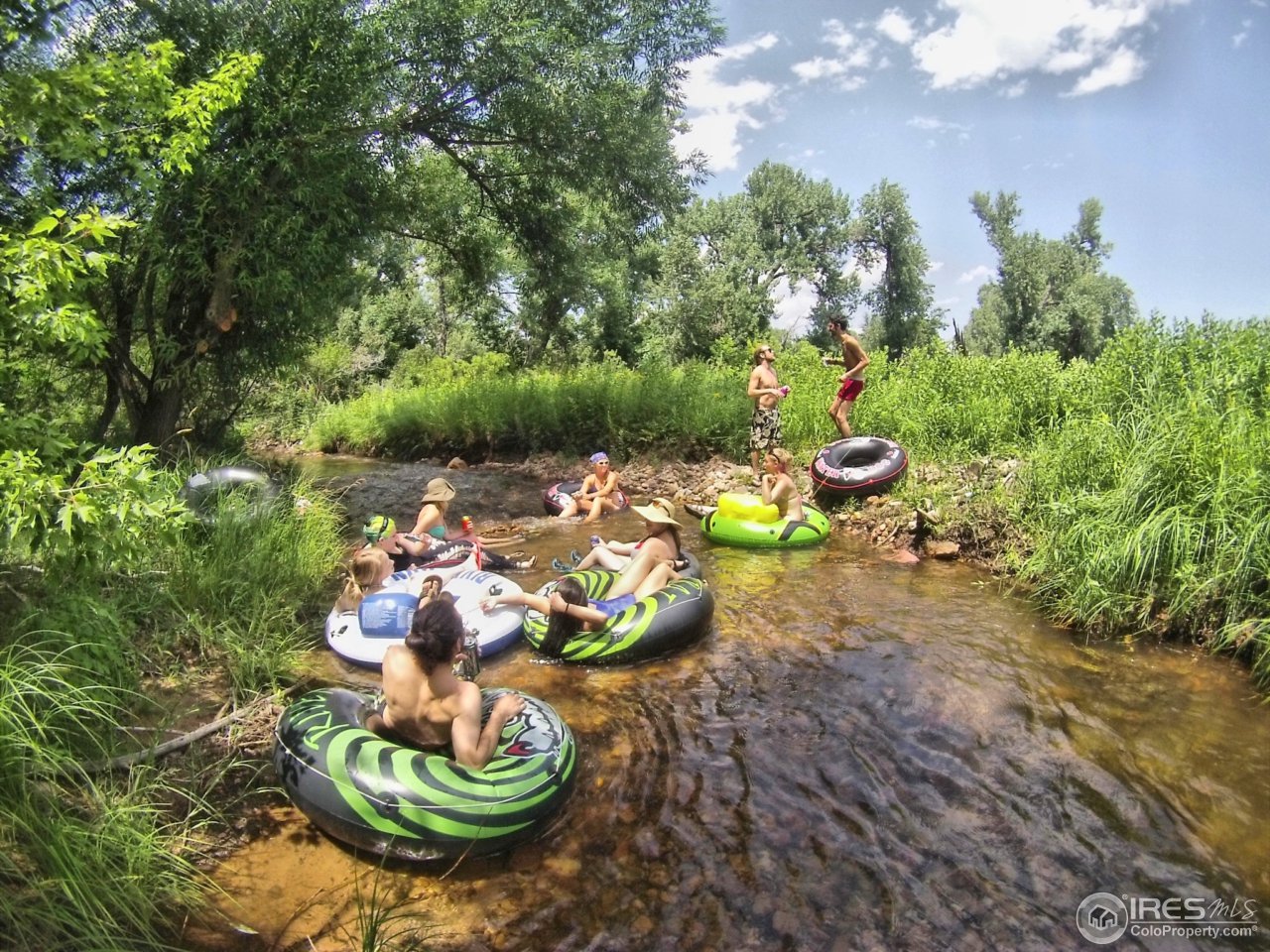 a view of a backyard with table and chairs potted plants and large tree