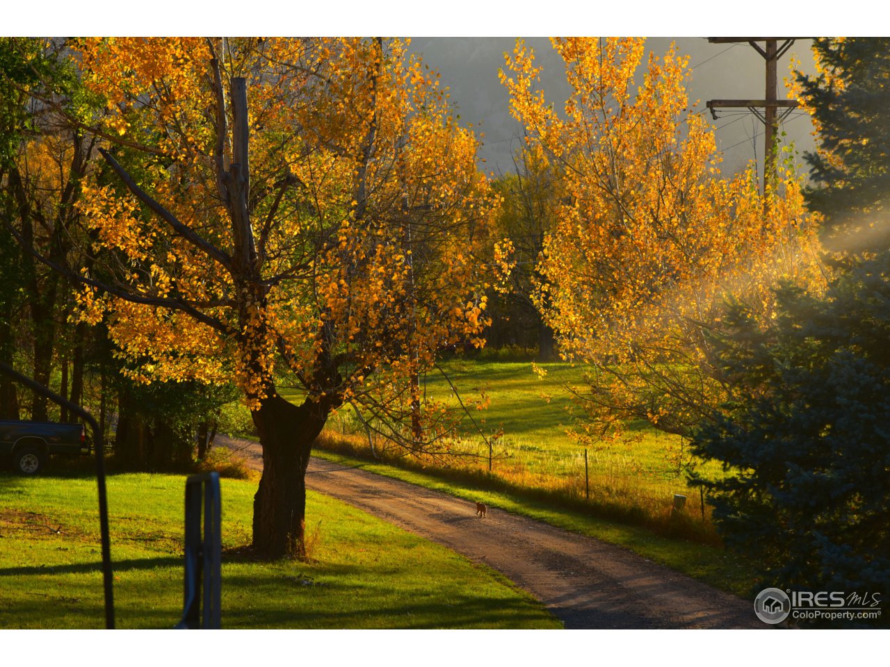 1498 Marshall Road Boulder, CO 80305 - Photo 2 of 40 a view of swimming pool from a yard