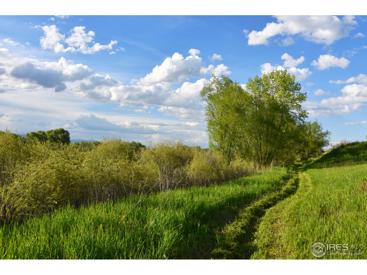 1498 Marshall Road Boulder, CO 80305 - Photo 30 of 40 a view of a bunch of trees