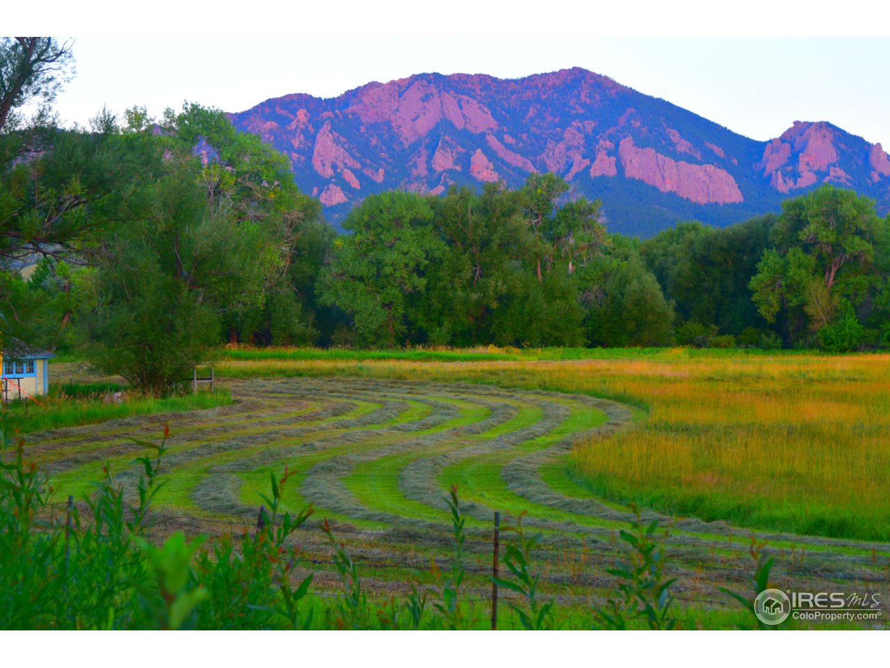 1498 Marshall Road Boulder, CO 80305 - Photo 3 of 40 a view of a field with a house in the background