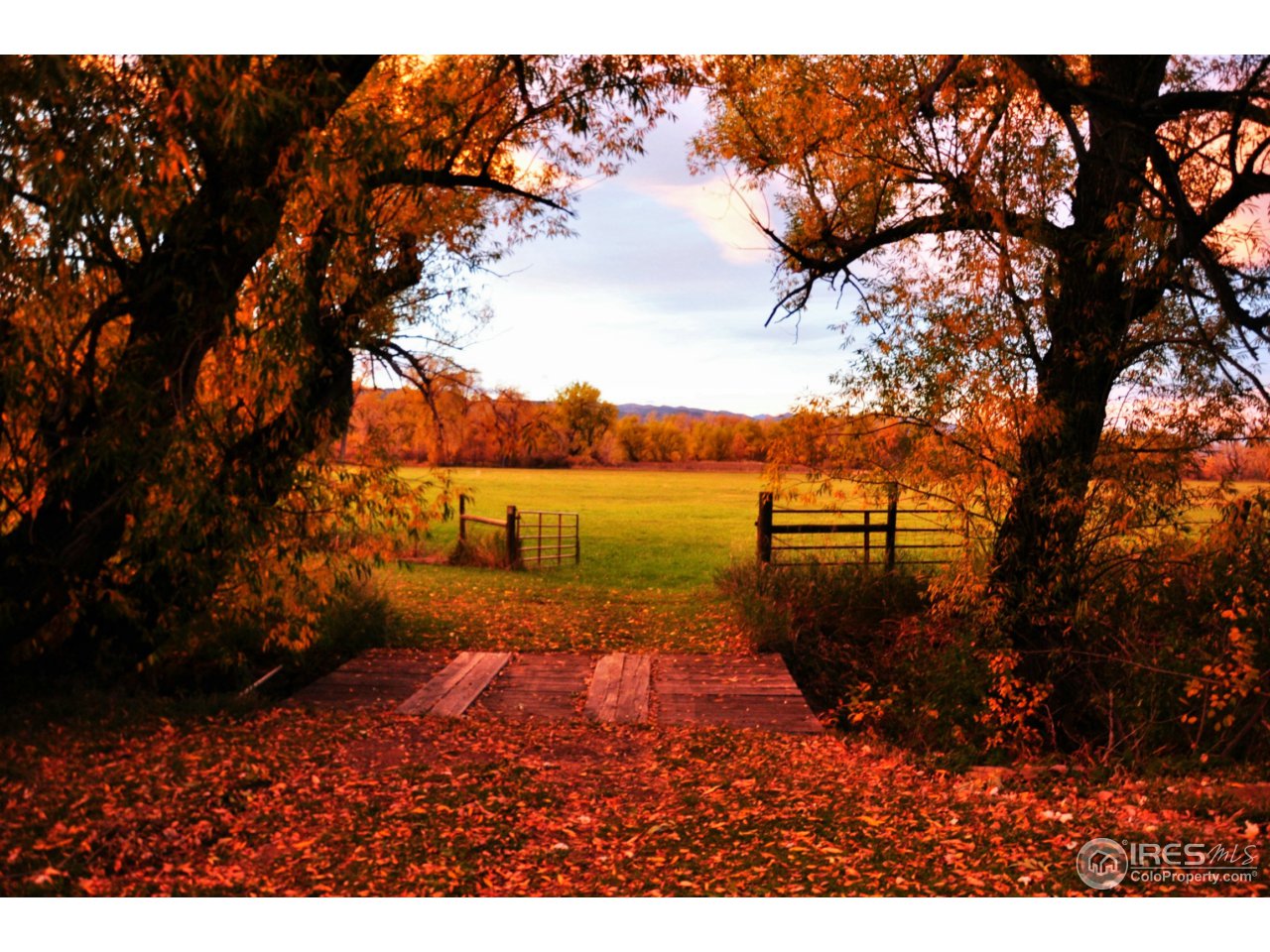 1498 Marshall Road Boulder, CO 80305 - Photo 35 of 40 a view of a yard