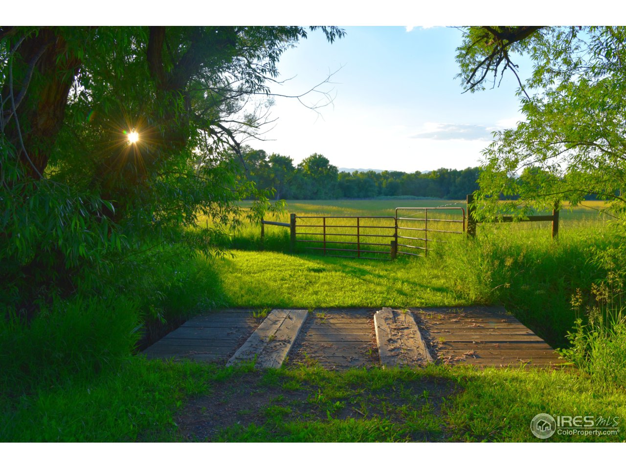 1498 Marshall Road Boulder, CO 80305 - Photo 8 of 40 a view of an outdoor space and yard