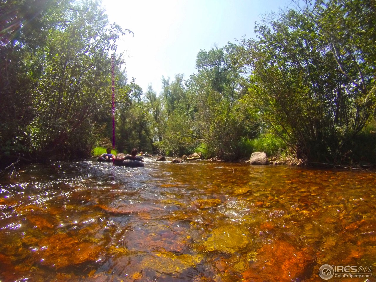 1498 Marshall Road Boulder, CO 80305 - Photo 10 of 40 a view of a field with trees in background