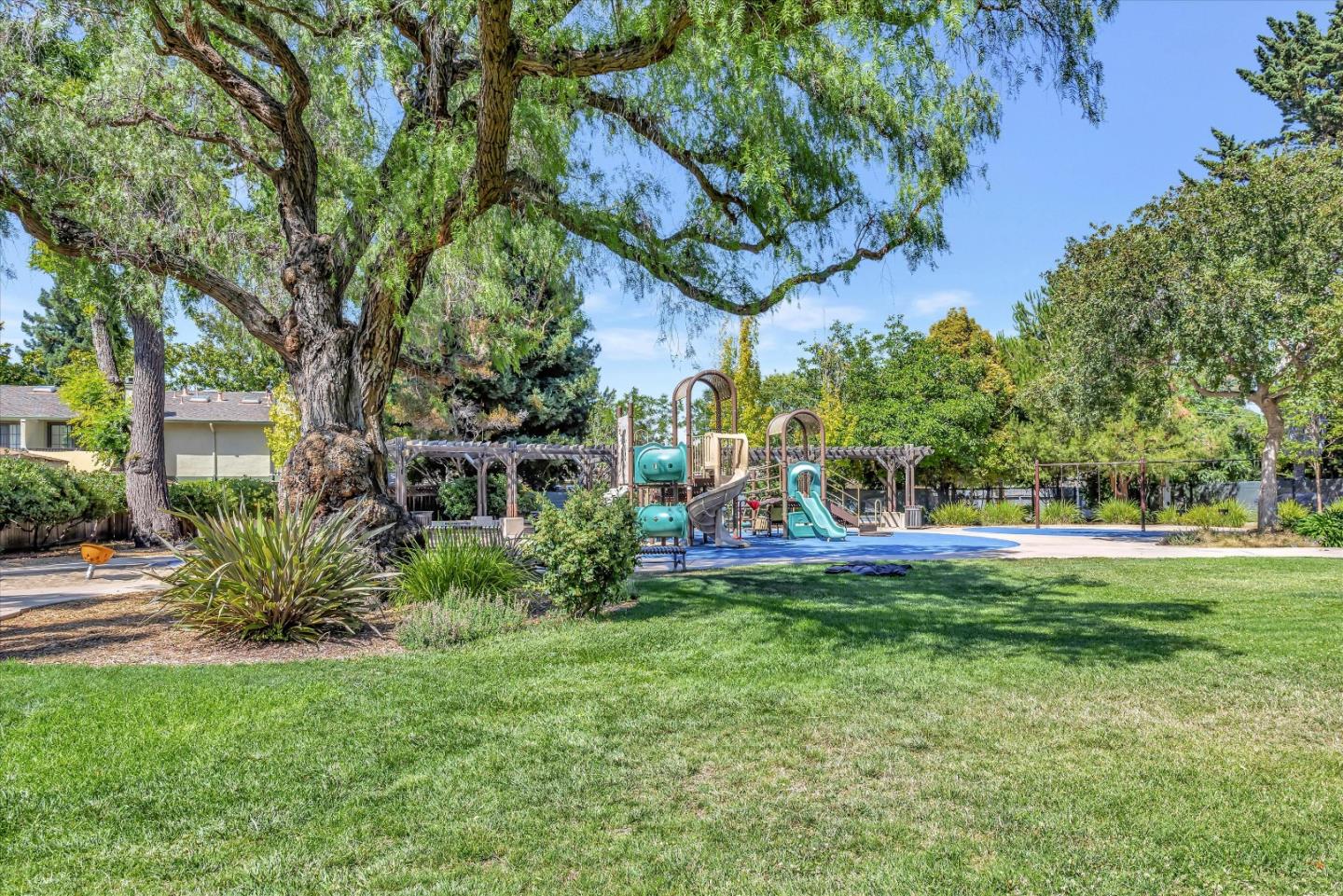 59 Devonshire Avenue Mountain View, CA 94043 - Photo 52 of 53 a view of a house with a big yard potted plants and large tree