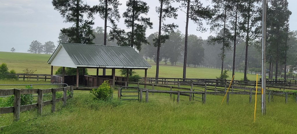 1724 Coleman Bridge Road Wagener, SC 29164 - Photo 11 of 35