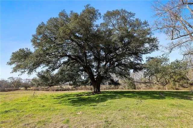 $497,250 | 255 J P Thomas Road, Amite, LA 70422
