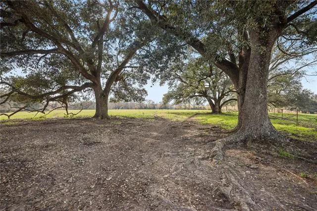 $497,250 | 255 J P Thomas Road, Amite, LA 70422