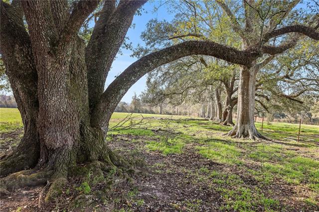 255 J P Thomas Road Amite, LA 70422 - Photo 5 of 21