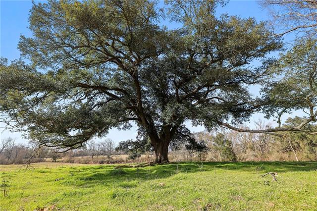 255 J P Thomas Road Amite, LA 70422 - Photo 7 of 21